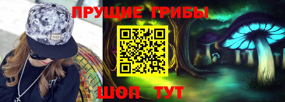 Галлюциногенные грибы GOLDEN TEACHER Михайловка
